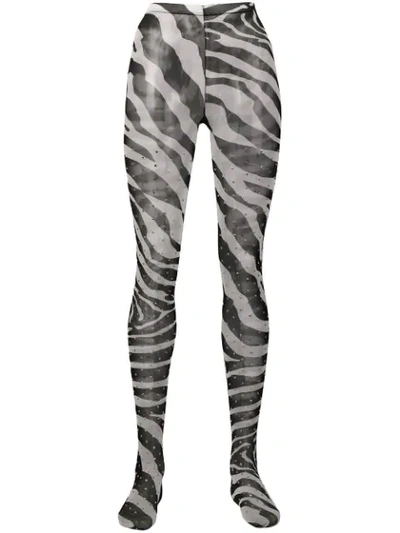 Shop Dolce & Gabbana Zebra Print Tights - Black