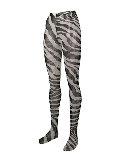 Shop Dolce & Gabbana Zebra Print Tights - Black