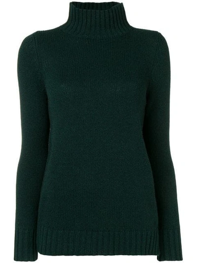 Shop Aragona Turtle Neck Jumper In Green