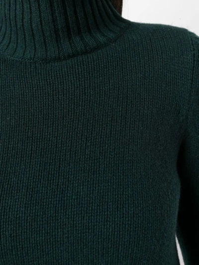 Shop Aragona Turtle Neck Jumper In Green