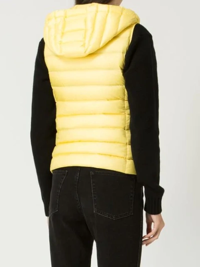 Shop Moncler Padded Hooded Waistcoat In Yellow