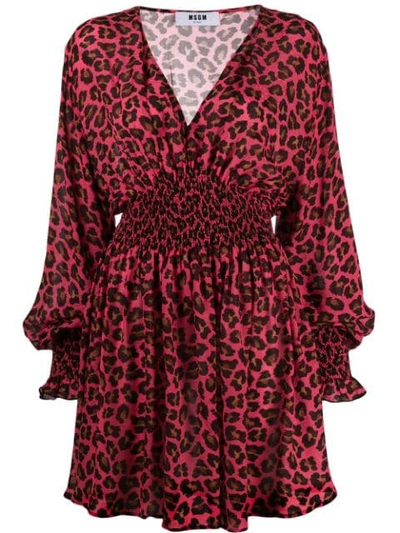 Shop Msgm Leopard Print Dress In Pink