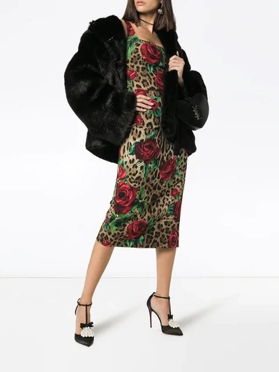 Shop Dolce & Gabbana Leopard Rose Print Bodycon Midi Dress In Brown