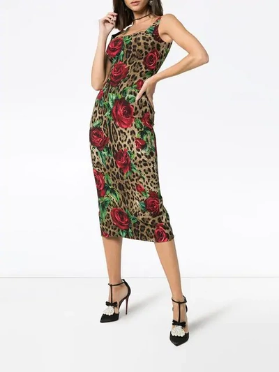 Shop Dolce & Gabbana Leopard Rose Print Bodycon Midi Dress In Brown