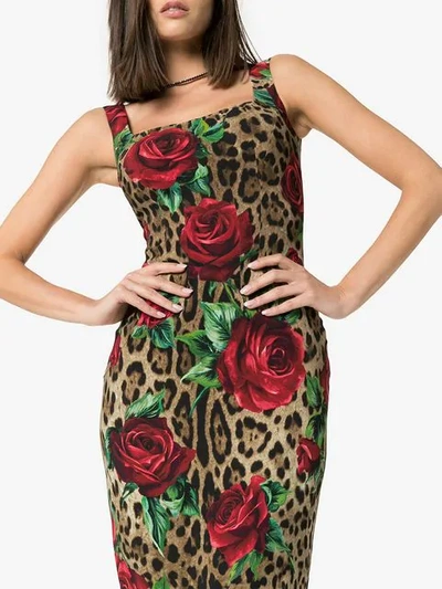 Shop Dolce & Gabbana Leopard Rose Print Bodycon Midi Dress In Brown