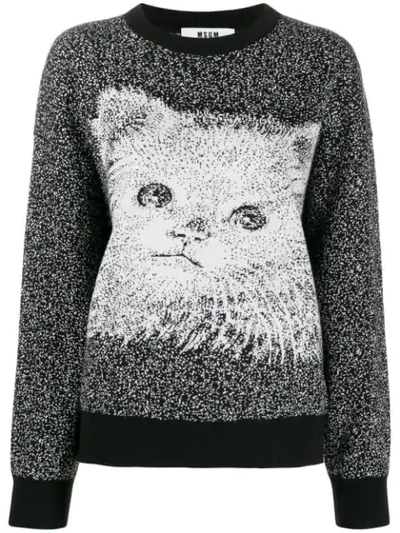 Shop Msgm Knitted Sweatshirt In Black