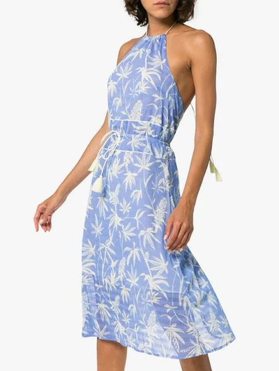 Shop A Peace Treaty Boetica Halterneck Palm Print Cotton Blend Dress In Blue