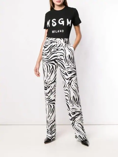 Shop Msgm Logo T-shirt In Black