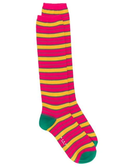 Shop Marni Striped Socks In Rgc56 Starlight Pink