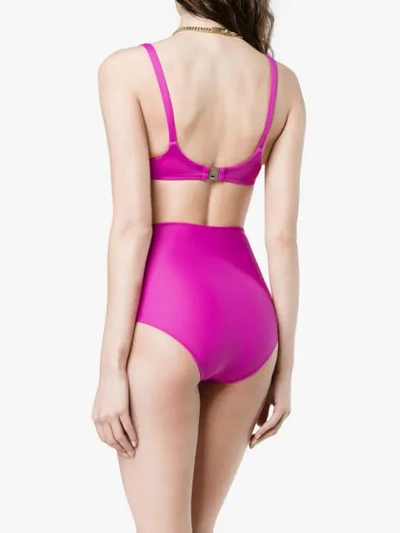 Shop Araks Quinn Bikini Set In Pink