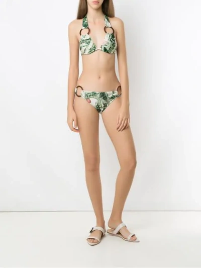 Shop Adriana Degreas X Cult Gaia Printed Bikini Set In Green