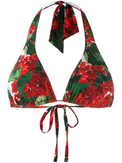 Shop Dolce & Gabbana Portofino Print Bikini Top In Red