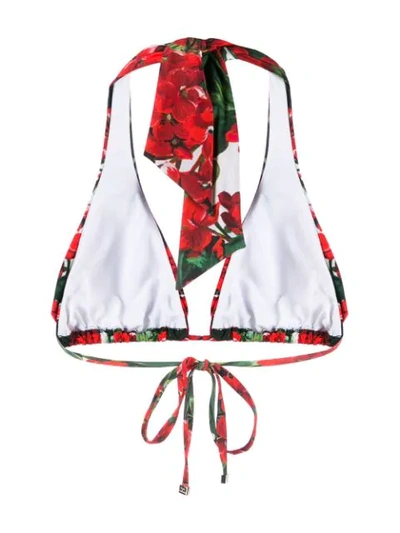 Shop Dolce & Gabbana Portofino Print Bikini Top In Red