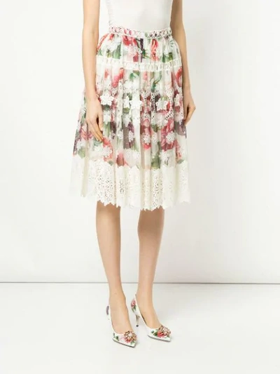 Shop Dolce & Gabbana Peony Print Midi Skirt In White
