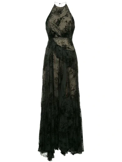 Shop Alex Perry Halterneck Long Dress In Black