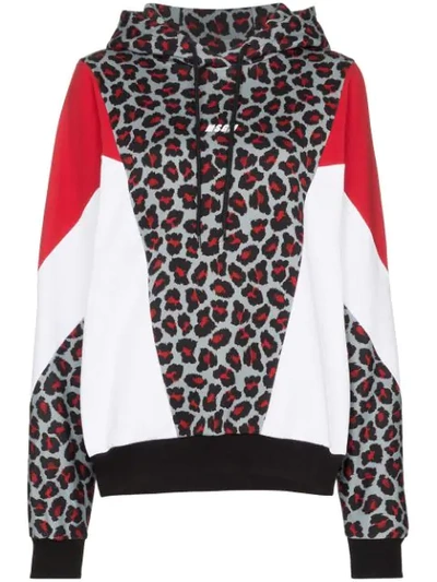 Shop Msgm Leopard-print Panelled Hoodie  In 96 Multicoloured