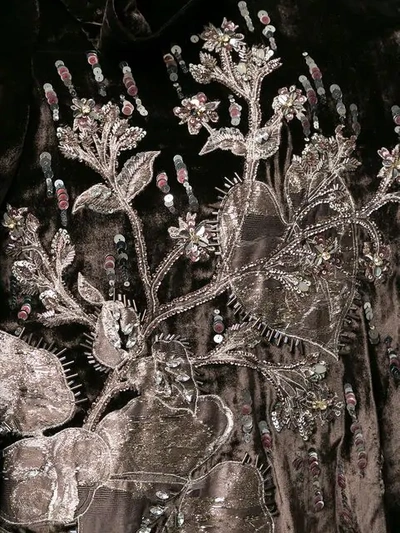 Biyan Velvet Embroidered Blouse In Brown