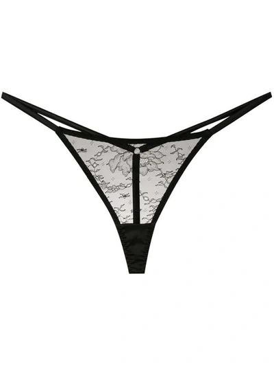 Shop Myla Lace Thong In Black