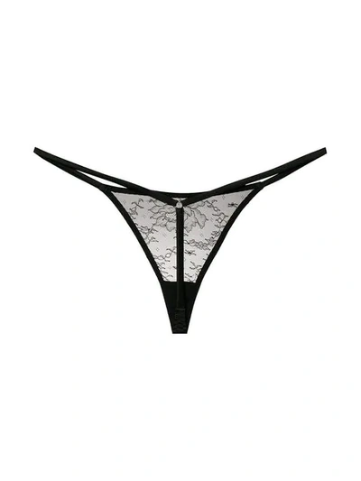 Shop Myla Lace Thong In Black