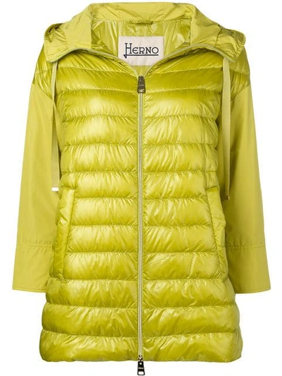 Shop Herno Zipped Padded Jacket In 3600 Verde Acido