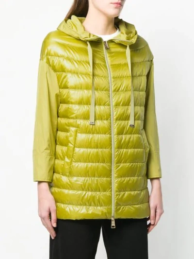 Shop Herno Zipped Padded Jacket In 3600 Verde Acido