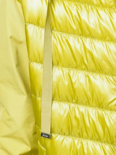 Shop Herno Zipped Padded Jacket In 3600 Verde Acido