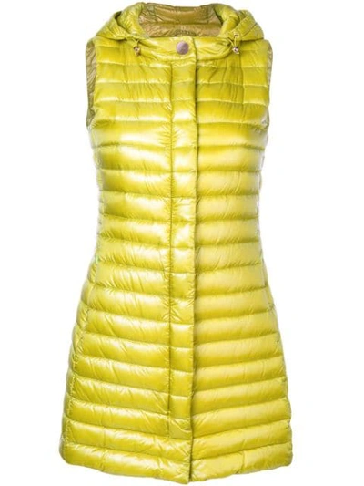 Shop Herno Hooded Padded Gilet In Yellow
