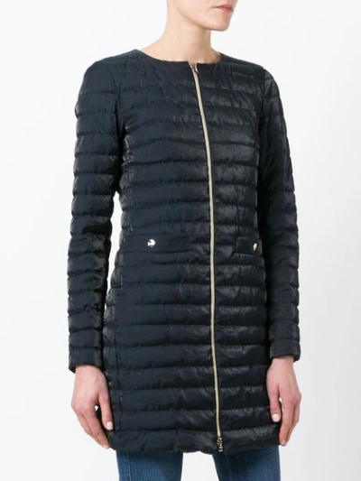 Shop Herno Padded Coat - Blue