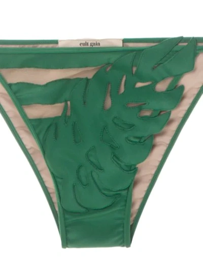 Shop Adriana Degreas X Cult Gaia Panelled Bikini Set In Green