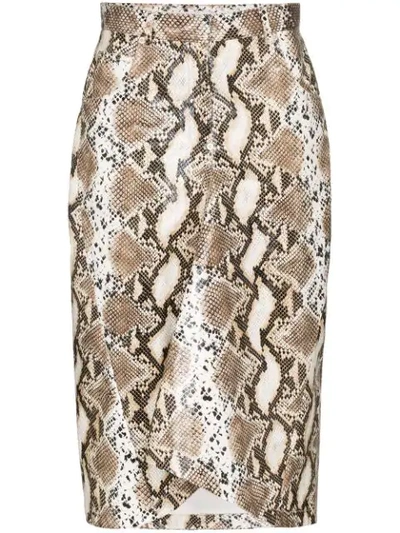 Shop Pushbutton Python-print Pencil Skirt In Brown