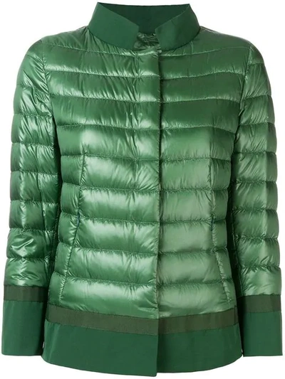 Shop Herno Feather Down Padded Jacket In Green