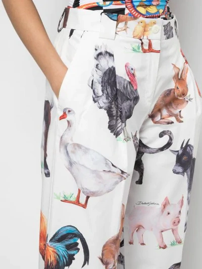 Shop Dolce & Gabbana Animal Print Cropped Trousers - White