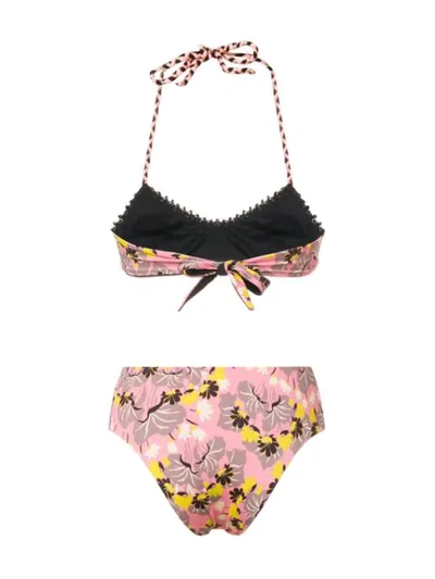 Shop Anjuna Floral Print Bikini In Pink