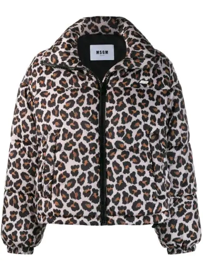Shop Msgm Leopard Print Bomber Jacket In Neutrals