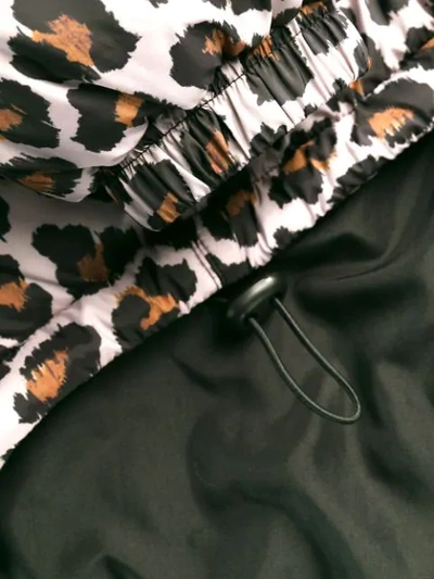 Shop Msgm Leopard Print Bomber Jacket In Neutrals