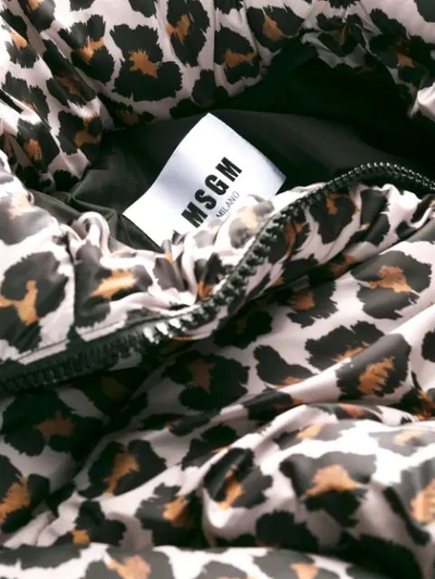 MSGM LEOPARD PRINT BOMBER JACKET - 大地色