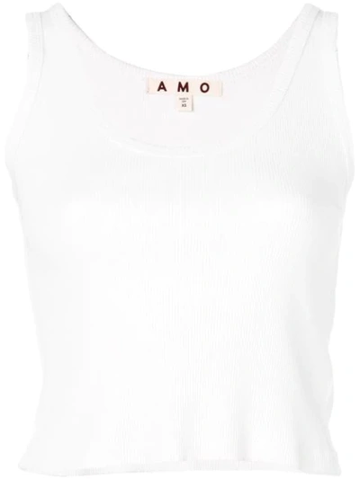 Shop Amo Crop Ribbed Tank Top In White