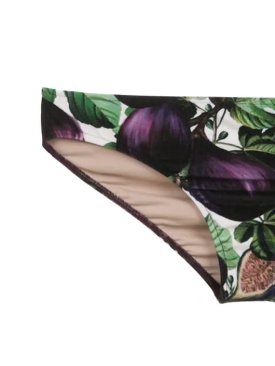 Shop Adriana Degreas Figo Printed Bikini Set In Purple