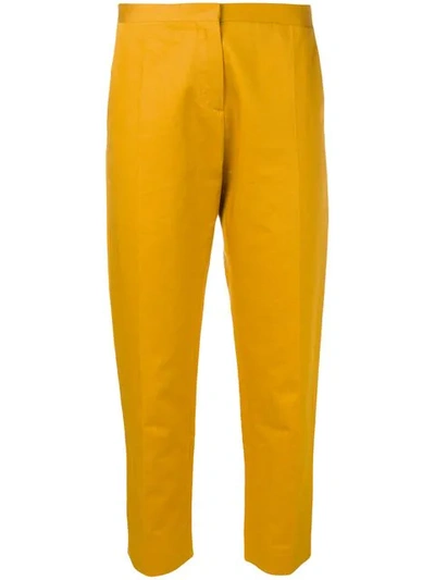 MARNI 九分西裤 - 黄色