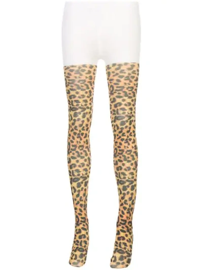 Shop Richard Quinn Strumpfhose Mit Leoparden-print In Leopard Print