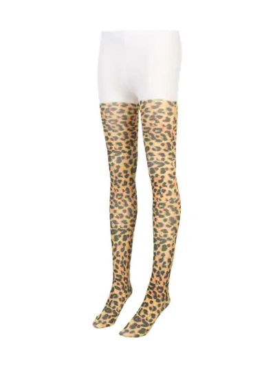 Shop Richard Quinn Strumpfhose Mit Leoparden-print In Leopard Print