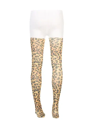 Shop Richard Quinn Strumpfhose Mit Leoparden-print In Leopard Print