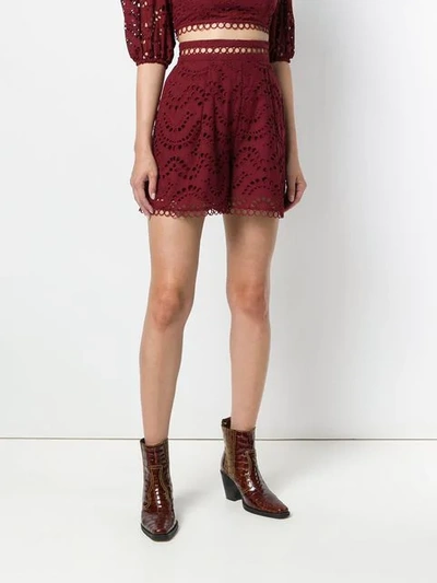 Shop Zimmermann Broderie Anglaise Shorts - Red