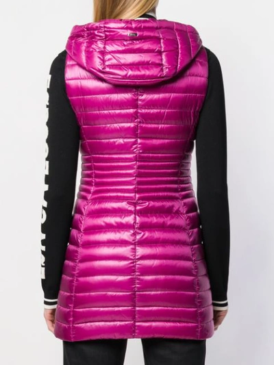 Shop Herno Hooded Zipped Gilet In Pink