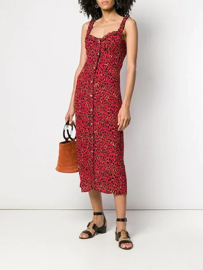 Shop Andamane Leopard Print Midi Dress - Red