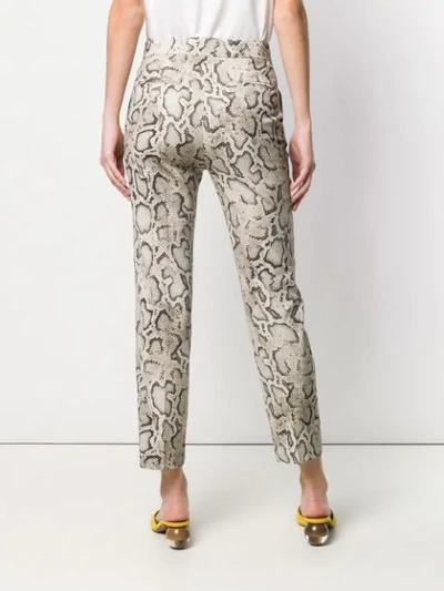 Shop Pinko Snakeskin Print Trousers In Cl1 Beige Marrone