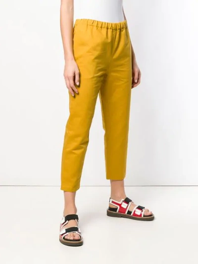 Shop Marni Cropped Trousers - Yellow