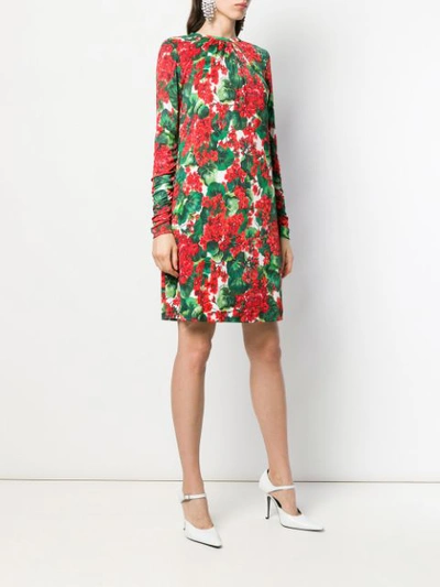 Shop Dolce & Gabbana Kleid Mit Portofino-print In Red