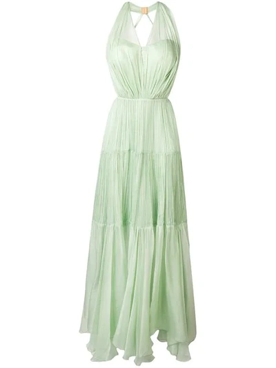 Shop Maria Lucia Hohan Poppy Pleated Maxi Dress In Green