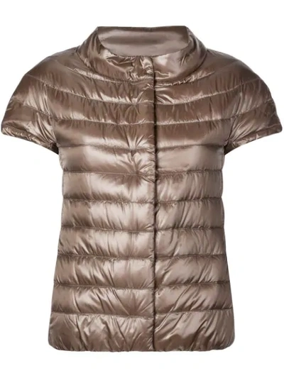 Shop Herno Shortsleeved Padded Jacket In Brown